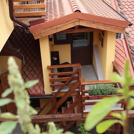 Casa Crown Hotell Braşov Exteriör bild